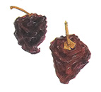 The ancho is a smoked and dried poblano, which transforms it into a brownish wrinkled chili. It can be found in Latino grocery stores and is rehydrated to make sauces and soups, giving dishes a smoky flavor.